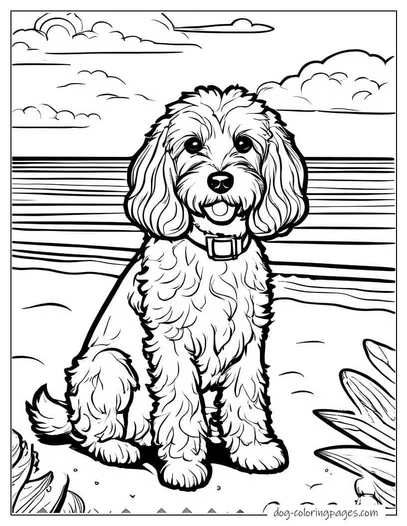 Cockapoo On Beach