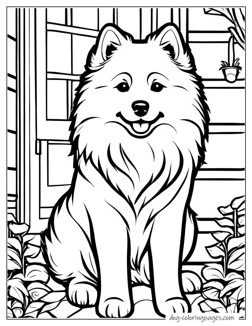 Samoyed In Front Of House